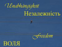 2024-ukraine-tag-der-unanghaengigkeit-independent-day-volia-freiheit-33-jahre-33-years-support-bird-free-1